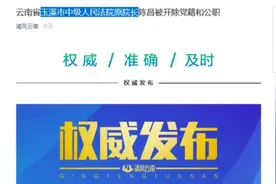 云南玉溪中院原院长陈昌被双开：充当黑恶势力“保护伞”视频封面