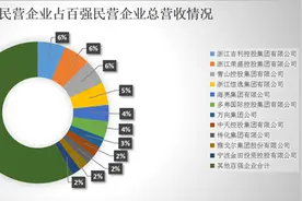 浙江公布“2021年民营企业100强”前十强中杭州企业占六席图片