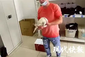 奇怪动物小区里乱窜，民警一看竟是新潮萌宠图片