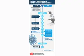 一图梳理中美新冠肺炎疫情起源时间线图片