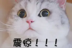 网约车司机“要钱无门”，一年被薅2亿多！“逃单”频出，无良乘客该怎么治？图片