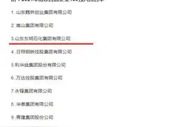 闪电深1度｜出资240万入股山东东明清源水务，这家石化巨头为何做起了水生意？图片