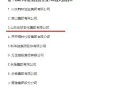 闪电深1度｜出资240万入股山东东明清源水务，这家石化巨头为何做起了水生意？图片