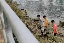 “玩水危险”江边偶遇3小孩捞鱼 男子大吼催促上岸图片