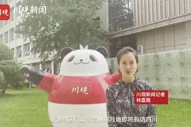 看了这个川观独家视频 林郑月娥说：我很感动图片