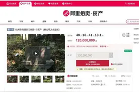 西湖边蔡元培之女故居1.2亿起拍！买家只能修缮改建 后续步骤都需要与相关部门报批图片
