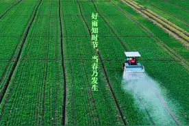 二十四节气农事图鉴图片