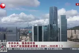 中共中央、国务院印发《知识产权强国建设纲要（2021-2035年）》：2035年 中国特色、世界水平知识产权强国基本建成视频封面