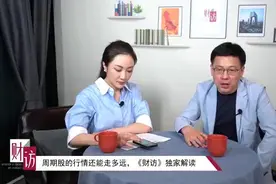 除了“煤飞色舞钢花溅”，周期股还能怎么选？基金经理：长期看好锂、稀土视频封面