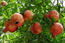 十一黄金周，荥阳近郊游精品线路发布！图片