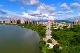 势头向好！五年重点项目234宗，惠东完成投资707亿图片