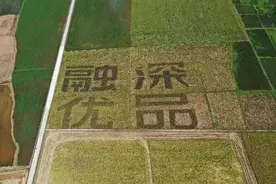 深河共建 圳在帮扶 | 深圳帮扶助推河源乡村振兴 河源市2021农民丰收节系列活动启动图片