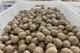 潮汕牛肉丸是“揍”出来的图片