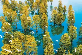 千古大汉塘图片