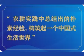 都市生活也应有点农耕常识｜长江评论图片