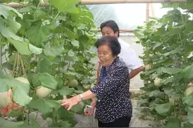 你能自由吃瓜离不开她，与袁隆平同校同年毕业，她始终忘不了这件事图片