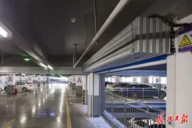 3天内可检测出新发现的病原体！武汉这一中心已在国内开展多起救援行动图片