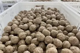 潮汕牛肉丸是“揍”出来的图片
