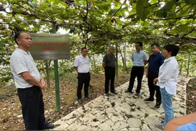 美团组织“农民丰收节”专场培训，宣布三年培训10万致富带头人图片