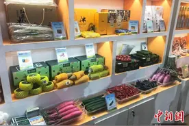 第七届中国（山西）特色农产品交易博览会开幕 近30省份企业参展图片
