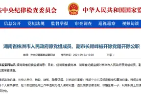 顾峰被“双开”，涉非婚生育一子图片