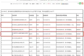 飞检发现缺陷 贵州百灵被约谈图片