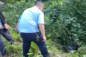 走失3天跌落深沟被救出，回家后再次走失：83岁妈妈“丢失”了自己……图片