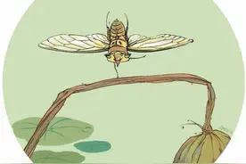 虫虫“做运动”图片
