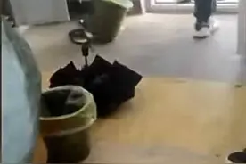 辽宁一高校辅导员暴力查寝，被行政警告处分，调离工作岗位图片