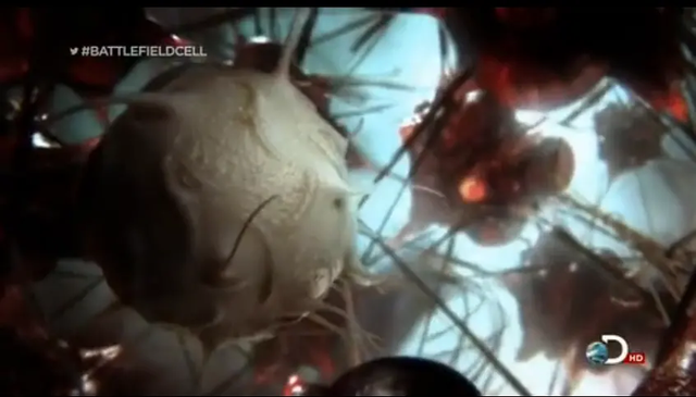 “活着”究竟意味着什么？来自诺贝尔生理学奖得主的回答