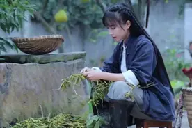 世间再无“李子柒”？资本要拿出真正的“好手段”图片