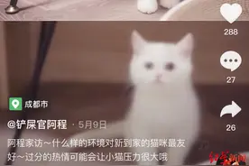 “萌宠博主”的生意经：有宠物医生一年带货千万，也有博主苦于回本图片