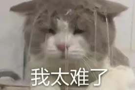 马龙险胜，许昕无缘男单四强！太难了……图片