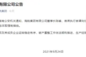 突发！涉嫌违法犯罪，海航集团董事长陈峰被采取强制措施！创业28年股权将清零，其子仍担任总裁图片