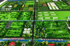 探访上海老港：全球最大垃圾焚烧厂和医废处置设施如何运作？图片