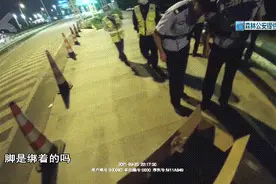 深夜，昆明一鸵鸟开启“夜跑”模式！一路狂奔欲上高速……图片