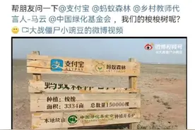 “蚂蚁森林”被疑造假背后：在阿拉善，下雨就像下黄金一样图片