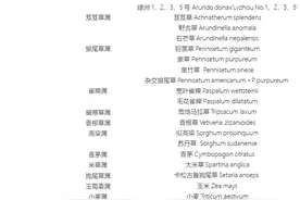 《山海情》里说的菌草究竟是什么？图片