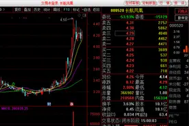 长航凤凰实控人被采取强制措施，刚升“南烨系”掌门，还布局这两家上市公司图片