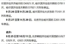 哈尔滨通往省内、省外多个方向的列车临时停运图片