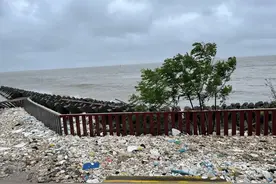 灯泡、玩具、塑料袋.....守护海岸线，他们在海边捡垃圾图片