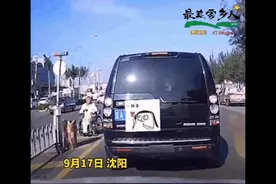 轮椅老人被困路口，司机下车一番操作被录下……网友：必须曝光图片