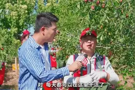 2200多年历史的“塞上江南”！宁夏灵武特色长枣，带动8000多户枣农增收致富→图片