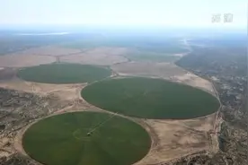 走进乡村看小康 | 陕西榆林孟家湾乡：机械采挖马铃薯 黄土地里丰收忙图片