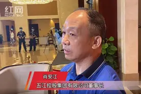 肖安江：5年内计划在娄底投资30亿元视频封面