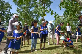 除了探秘种子的奥妙，小朋友还用它们来作画图片