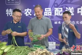 冲出高山的农业梦 浙江景宁三代“追梦人”并肩向共富图片