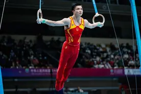 全运会 |“吊环王”强势夺金 奥运“老将”高低杠折桂图片