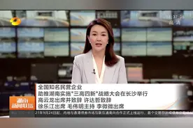 全国知名民营企业助推湖南实施“三高四新”战略大会在长沙举行图片