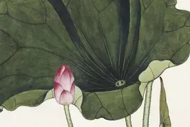 夜读 | 话在别人嘴里，路在自己脚下图片